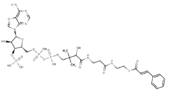 Cinnamyl-Coenzyme A(Cinnamoyl-CoA)