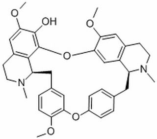 粉防己乙素