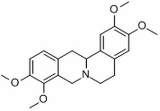 罗通定(四氢帕马丁)