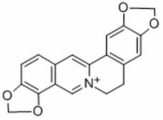 COPTISINE(P)