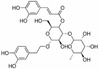 acteoside