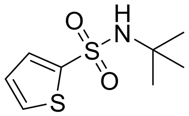 2-(tert-Butylaminosulfonyl)thiophene