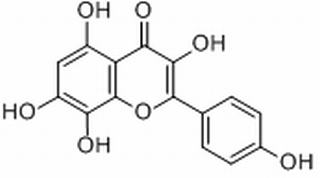 草质素