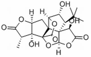 白果苦内酯 J