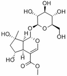 鸡矢藤次苷甲酯