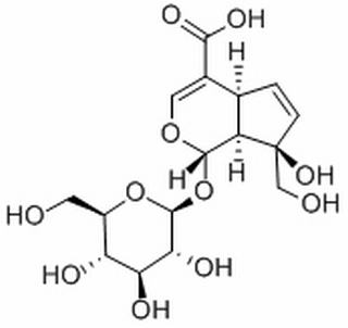 Monotropeine