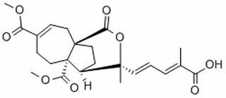 Pseudolaric Acid B