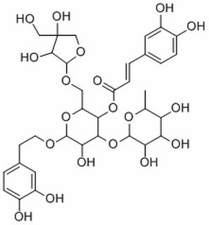 连翘酯苷B