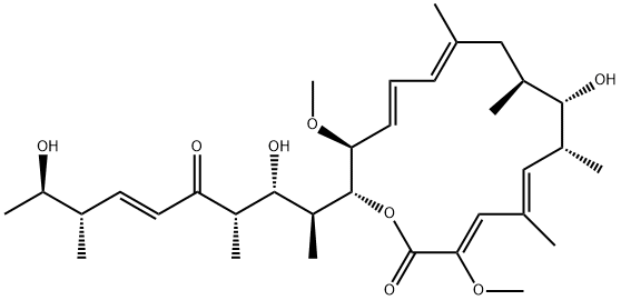 PD 118576