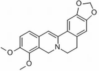 dihydroberberine