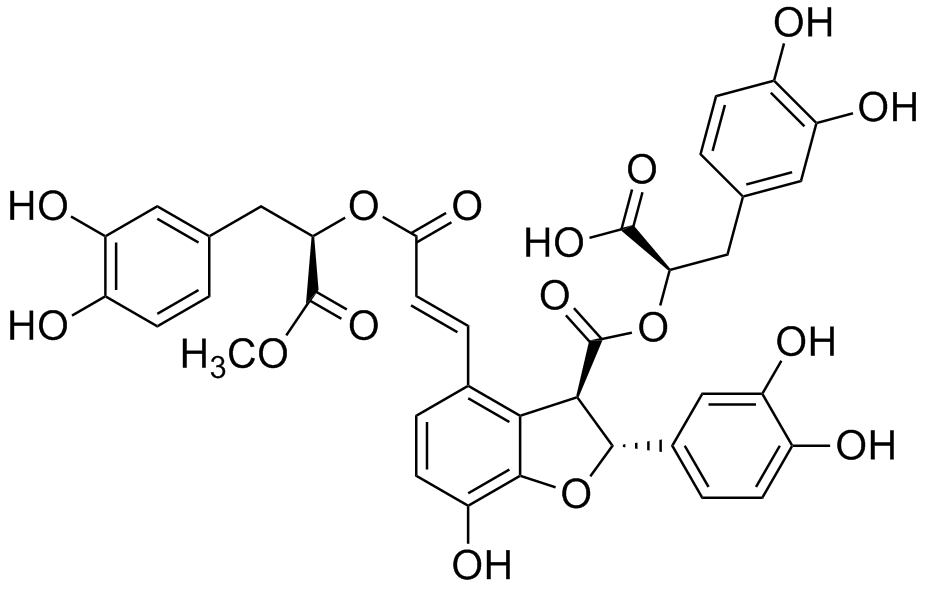 9'-Methyl lithospermate B