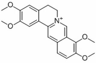 Dibenzo(a,g)quinolizinium, 5,6-dihydro-2,3,9,10-tetramethoxy-