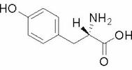 L-Tyrosine