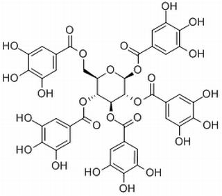 PENTAGALLOYL GLUCOSE