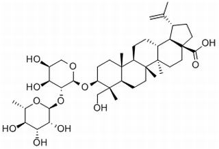 Pulchinenoside A