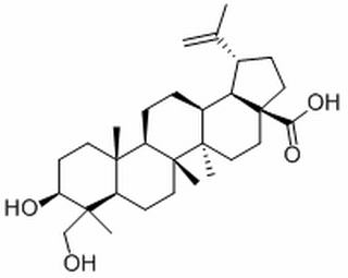 23-羟基白桦酸