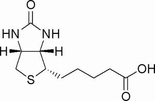 D-Biotin