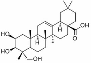 Bayogenin