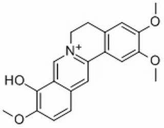 Palmatrubine