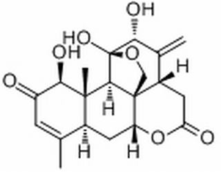 臭椿酮