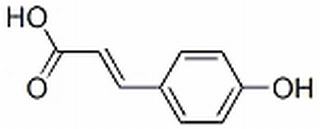 (2E)-3-(4-hydroxyphenyl)prop-2-enoate