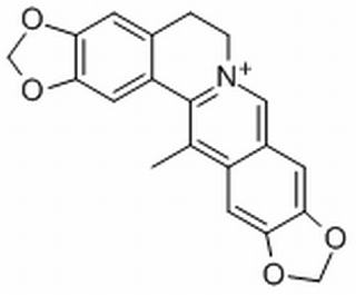 甲基黄连碱对照品