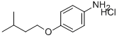 CP-24879 HYDROCHLORIDE