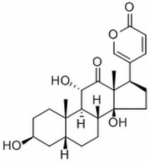 Bufa-20,22-dienolide, 3,11,14-trihydroxy-12-oxo-, (3β,5β,11α)-