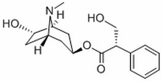 湖北消旋山莨菪碱原料药