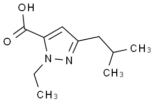 1-Ethyl-3-(2-MEthylPROPYL)-1H-Pyrazole-5-Carboxylic Acid