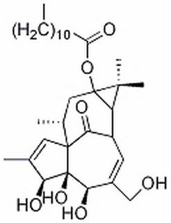 13-O-正十二烷酸巨大戟酯