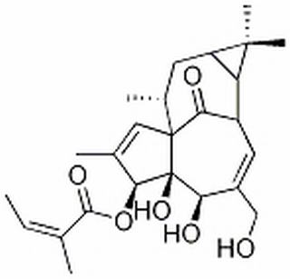 巨大戟醇-3-O-当归酸酯