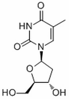 thymidine