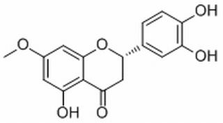 7-O-Methyleriodictyol