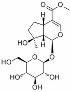 玉叶金花苷酸甲酯