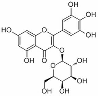 杨梅素-3-O-半乳糖苷