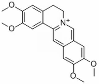 假巴马汀碱