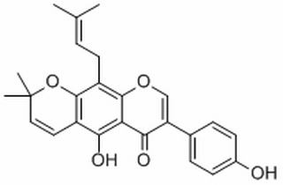 攀登鱼藤异黄酮