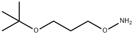 O-[3-(tert-butoxy)propyl]hydroxylamine