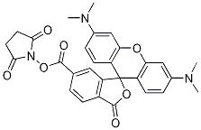 3',6'-Bis(diMethylaMino)-3-oxospiro[isobenzofuran-1(3H),9'-[9H]xanthene]-6-carboxylic Acid 2,5-Dioxo-1-pyrrolidinyl Ester