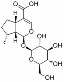 (1S,4aS,7R,7aR)-7-Methyl-1-(((2S,3R,4S,5S,6R)-3,4,5-trihydroxy-6-(hydroxymethyl)tetrahydro-2H-pyran-2-yl)oxy)-1,4a,5,6,7,7a-hexahydrocyclopenta[c]pyran-4-carboxylic acid