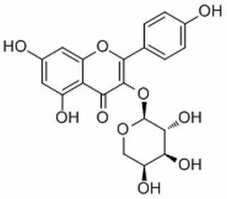 山柰酚-3-O-Α-L-吡喃阿拉伯糖苷