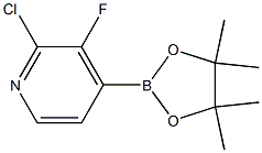 2-chloro-3-fluoro-4-(4,4,5,5-tetramethyl-1,3,2-dioxaborolan-2-yl)pyridine