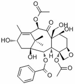 19-hydroxybaccatin III