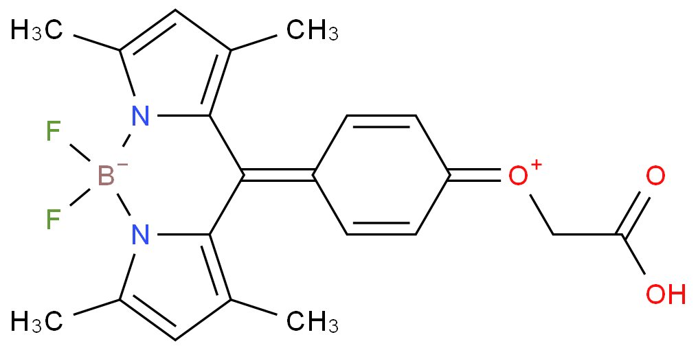 905567-19-3