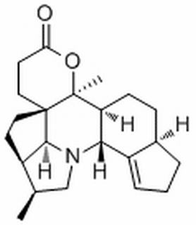 脱氧西红霉素B