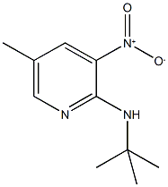 2-t-ButylaMino-5-Methyl-3-nitropyridine