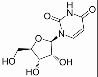 尿嘧啶核苷(尿苷)