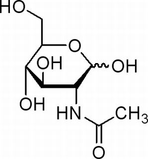 N-乙酰-D-氨基葡糖