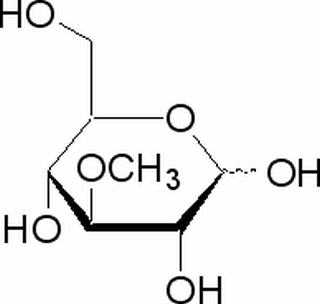 A-METHYL-D-GLUCOSIDE